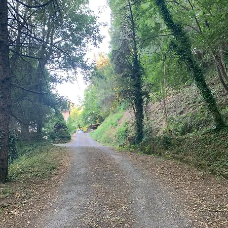 아파트 Avec Jardin A 800m De La Riviere 생장뒤가르