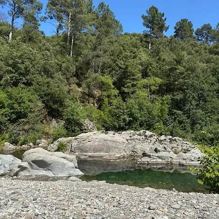 Avec Jardin à 800m De La Rivière Appartamento *